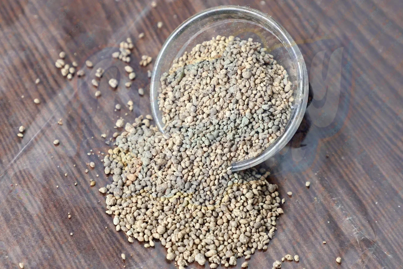 AJWAIN PACHAK 250GM