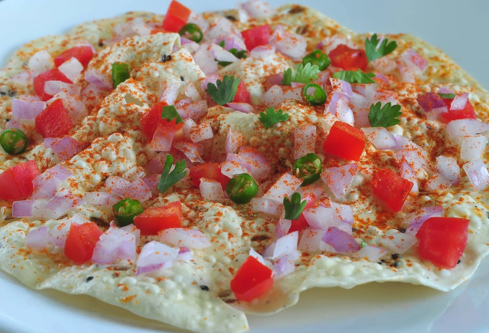 Premium Papad Katran - Image 3