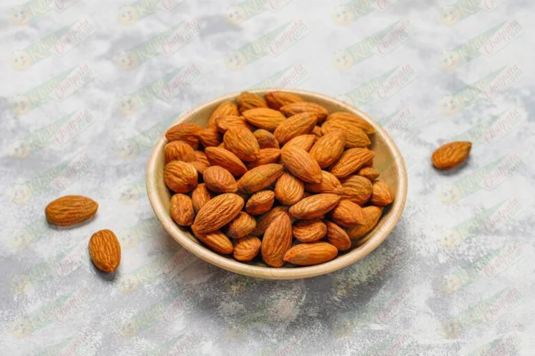 Authentic Indori Namkeen: Exquisite Snacks & Sweets Delivered Nationwide! 20 assortment-nuts-ceramic-plates-cashew-hazelnuts-walnuts-pistachio-pecans-pine-nuts-peanut-raisins-top-view